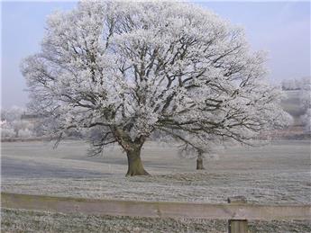 Bishop Thornton, Shaw Mills & Warsill PC
