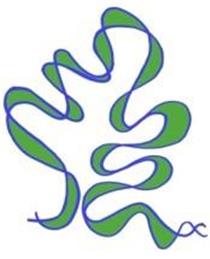 Ansty and Staplefield Parish Council