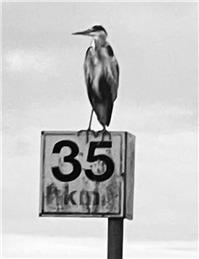 Fiskerton Ferry Boat Hire & River Crossings