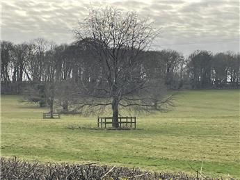 Tarrant Gunville Parish Council