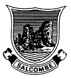Salcombe Community