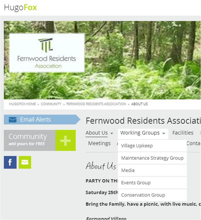 Figure 5: Fernwood Residents Association - Working Groups
